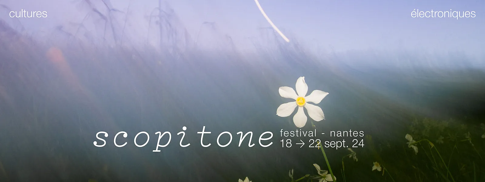Scopitone 2024 Scopitone 2024