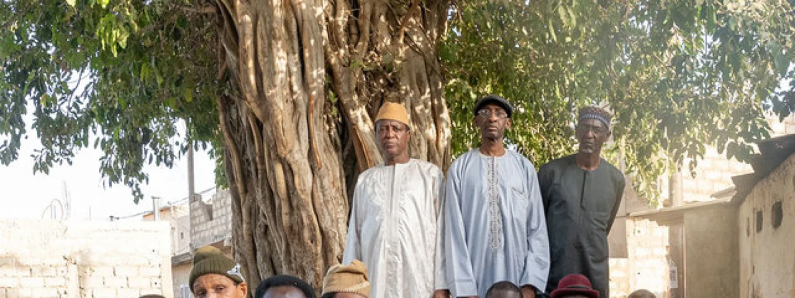 Orchestra Baobab