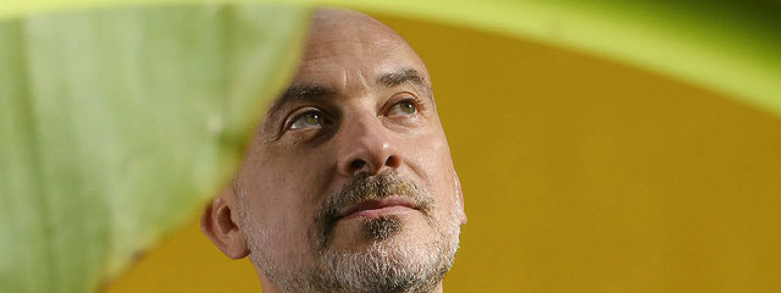 Lucas Santtana Lucas Santtana