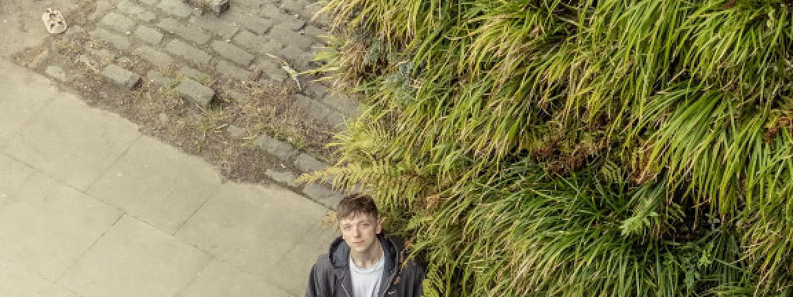 Aerial Salad Aerial Salad