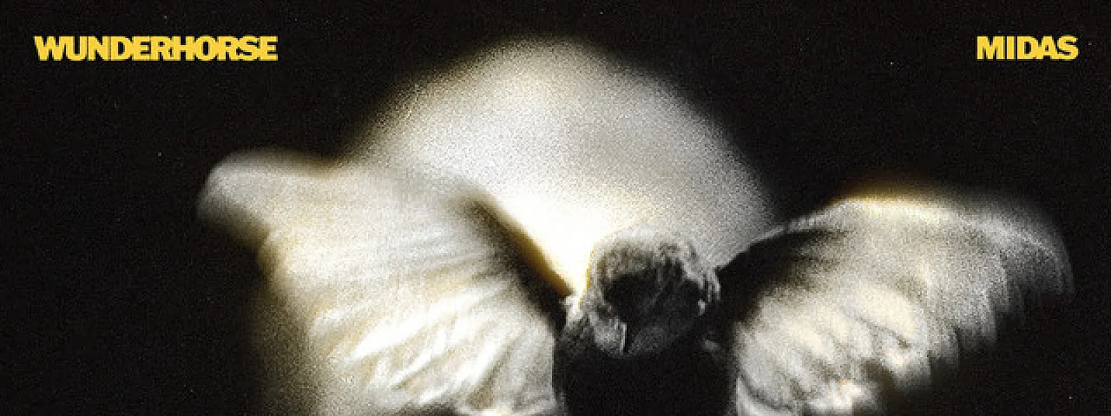 Wunderhorse Wunderhorse
