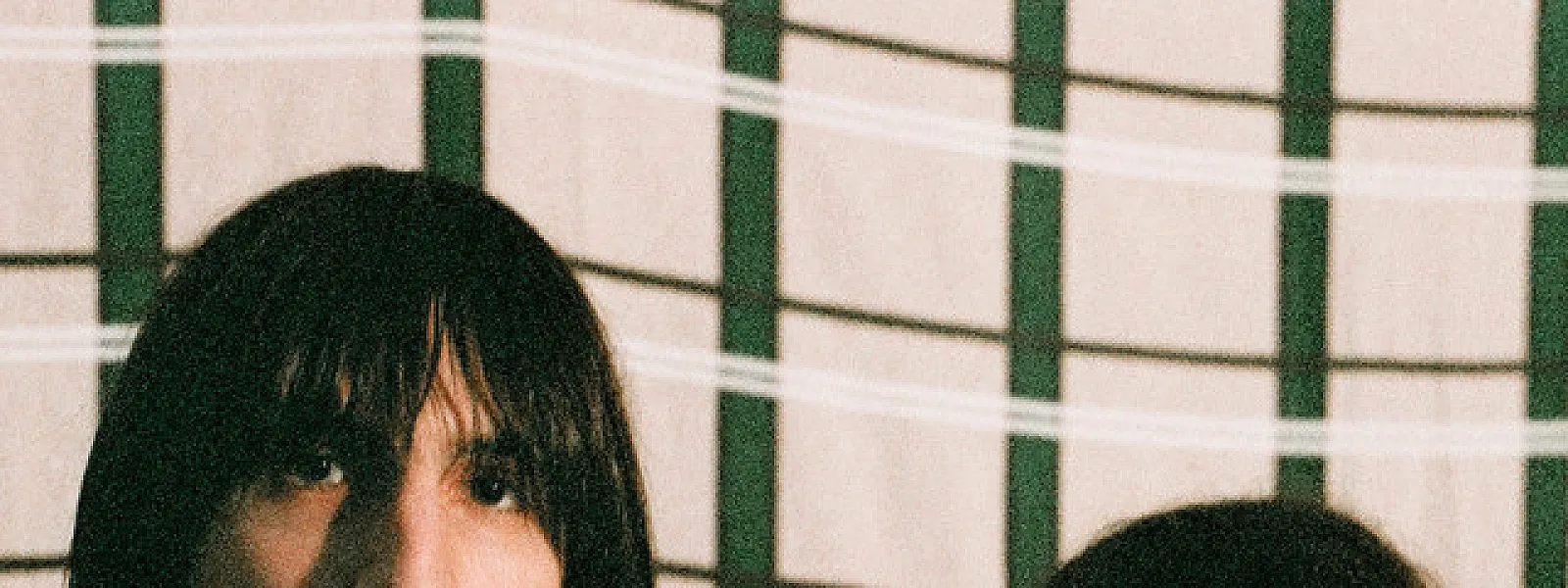 The Lemon Twigs
