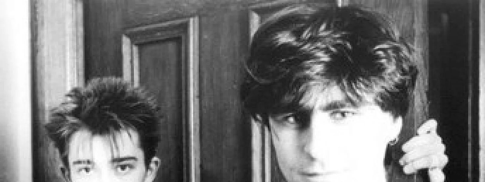 The Chameleons
