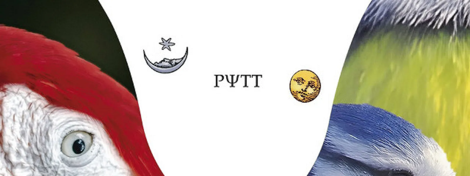 Pytt