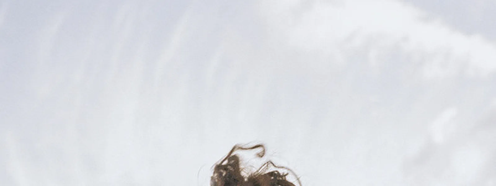 Sophie Jamieson