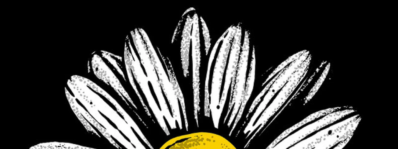 Killing Daisies Killing Daisies