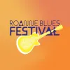 Roanne Blues festival Roanne Blues festival