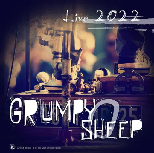 Grumpy O Sheep