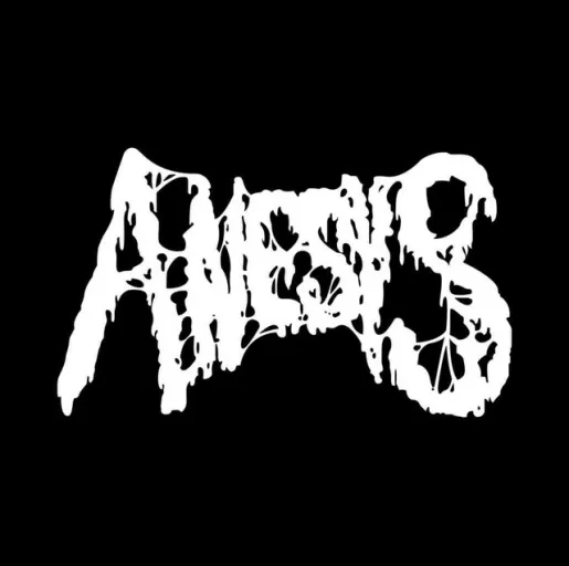 Anesys Anesys