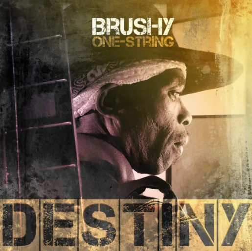Brushy One String Brushy One String