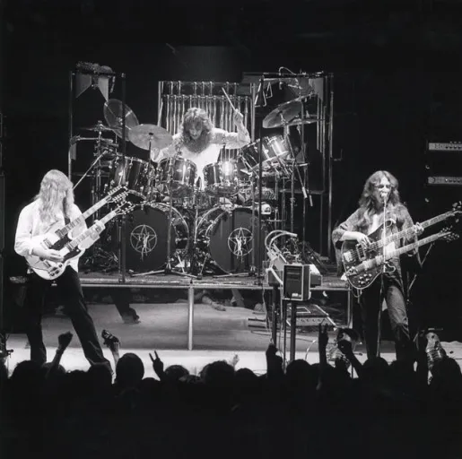 Rush Rush