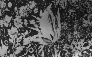 Converge Converge