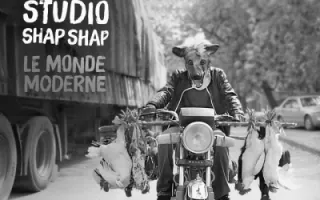 Studio Shap Shap