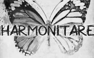 Harmonitare Harmonitare