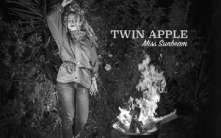 Twin Apple Twin Apple