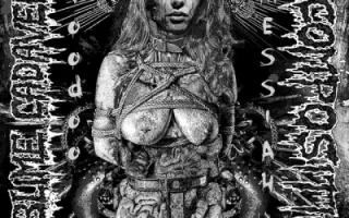 Sublime Cadaveric Decomposition