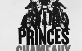 Princes Chameaux